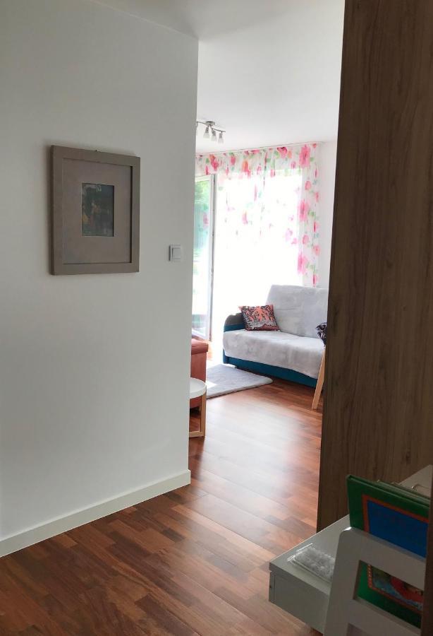 Apartament Comfort I コウォブジェク エクステリア 写真