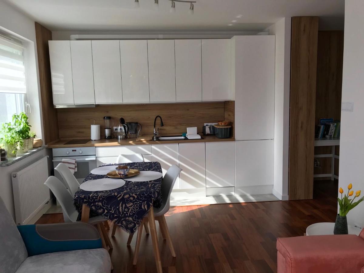 Apartament Comfort I コウォブジェク エクステリア 写真