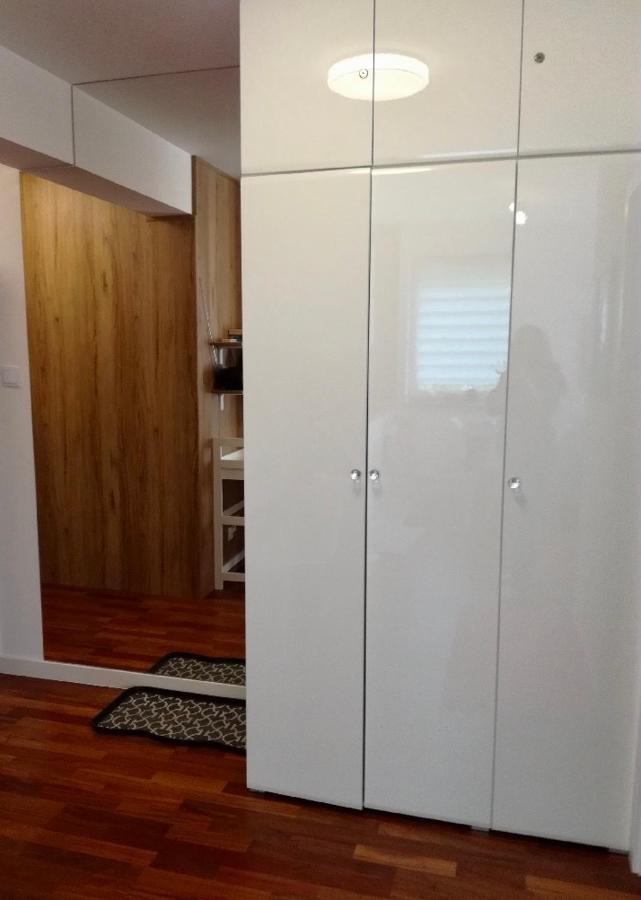 Apartament Comfort I コウォブジェク エクステリア 写真