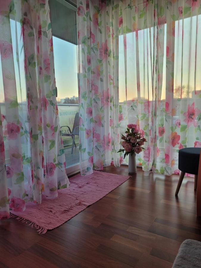 Apartament Comfort I コウォブジェク エクステリア 写真