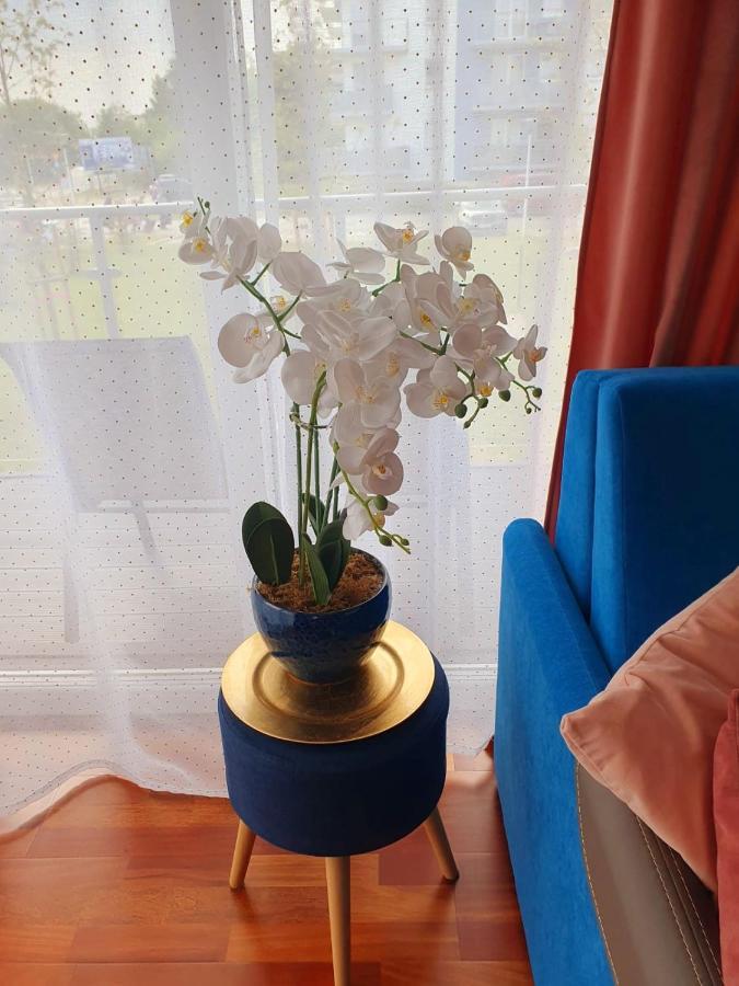 Apartament Comfort I Kolobrzegアパートメント エクステリア 写真