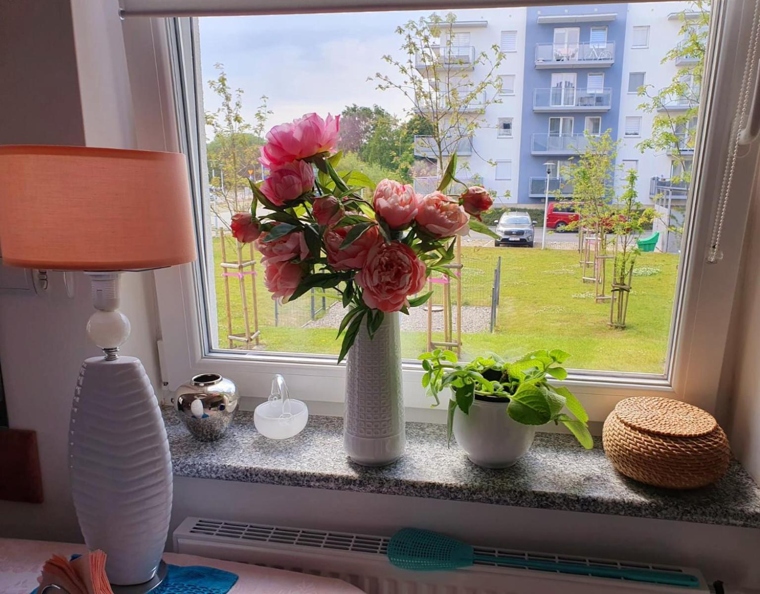 Apartament Comfort I コウォブジェク エクステリア 写真